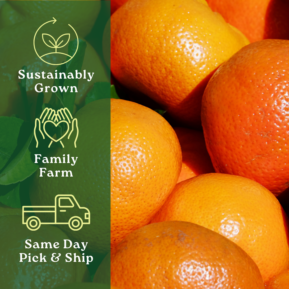 Limited Edition Seedless Daisy Mandarin Box