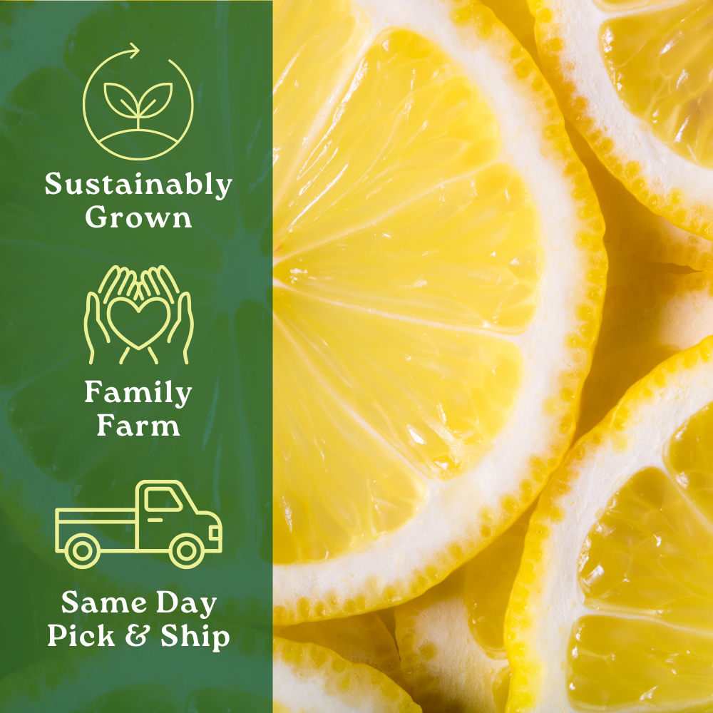 Eureka Lemon Box