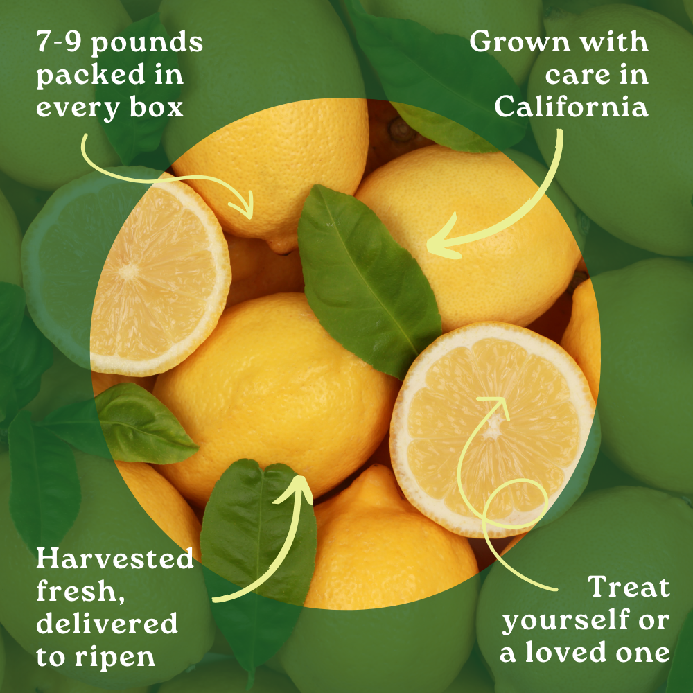Eureka Lemon Box