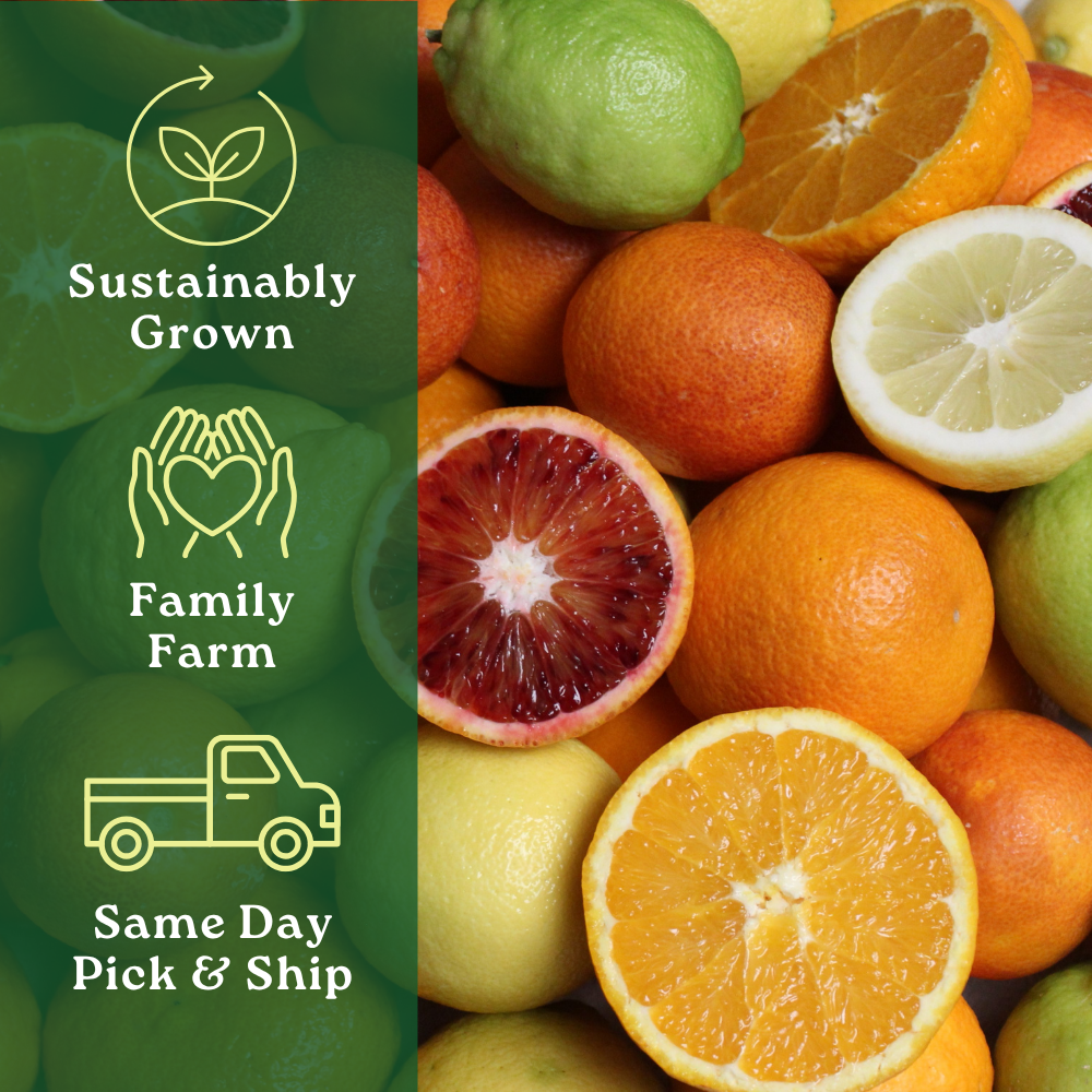 Citrus Box