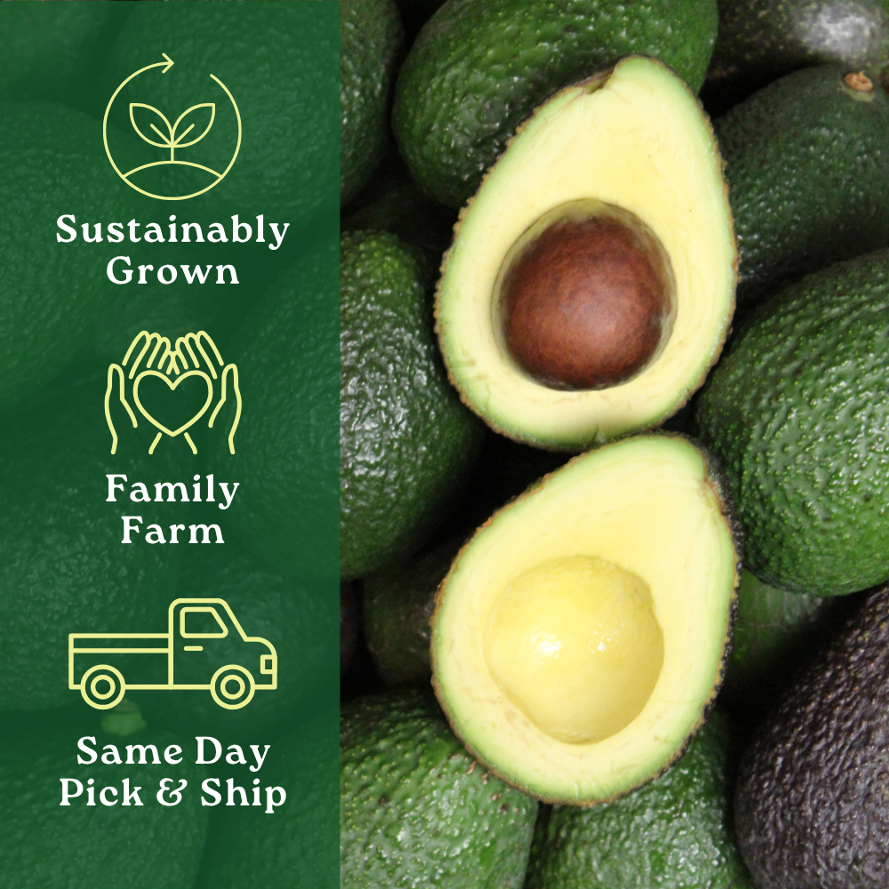 Avocado Box