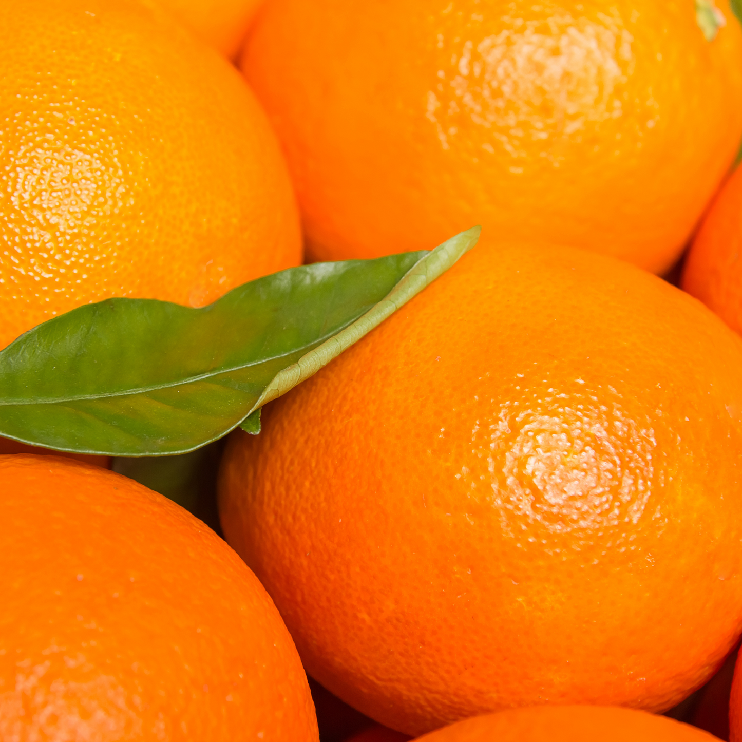 Surprise Limited Edition Valencia Box 🍊