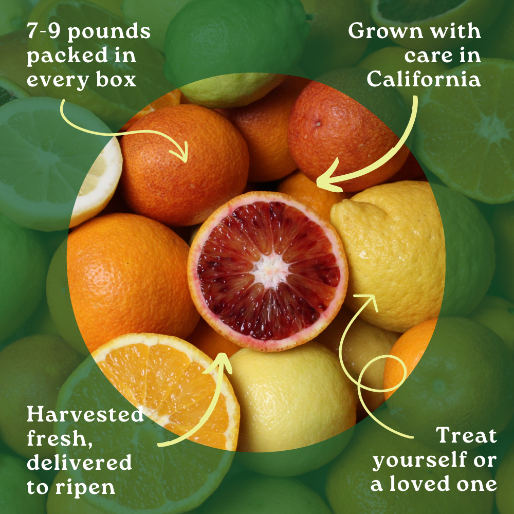 Citrus Box