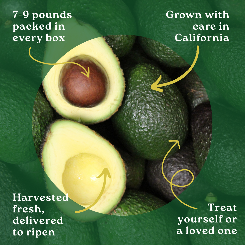 Avocado Box