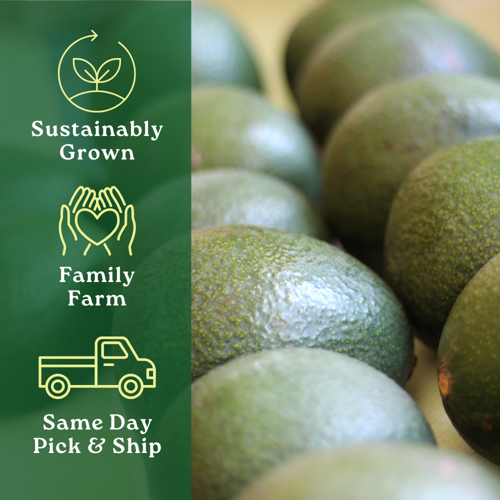 Reed Avocado Box