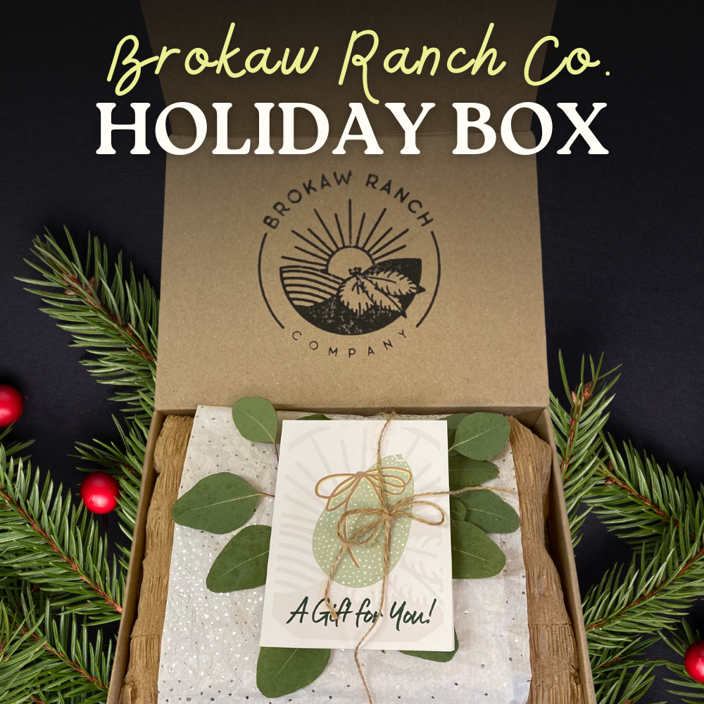 Holiday Box 🎁