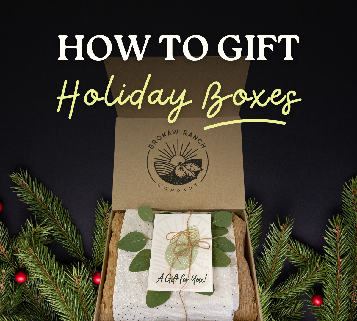 Holiday Box 🎁
