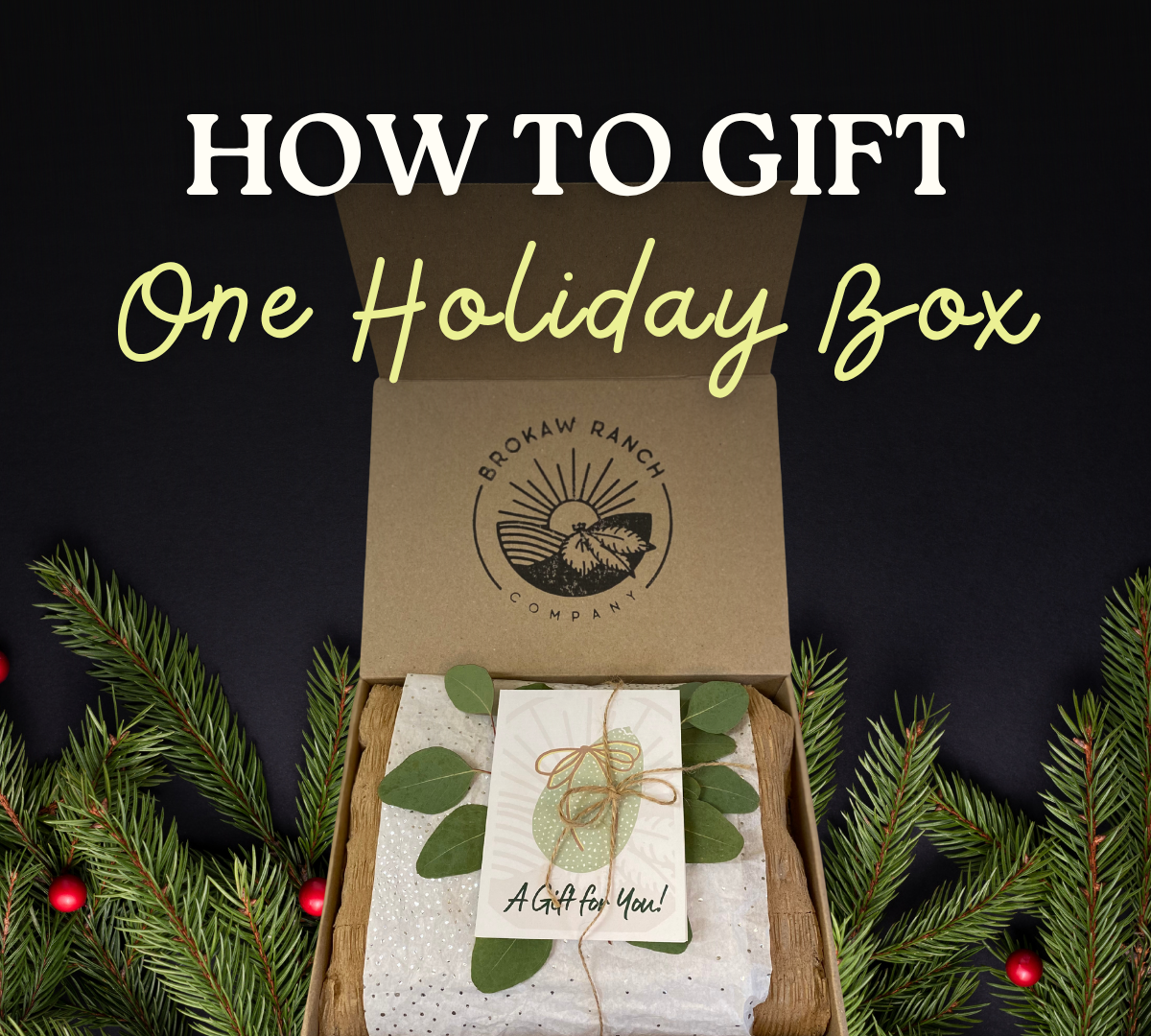 Holiday Box 🎁
