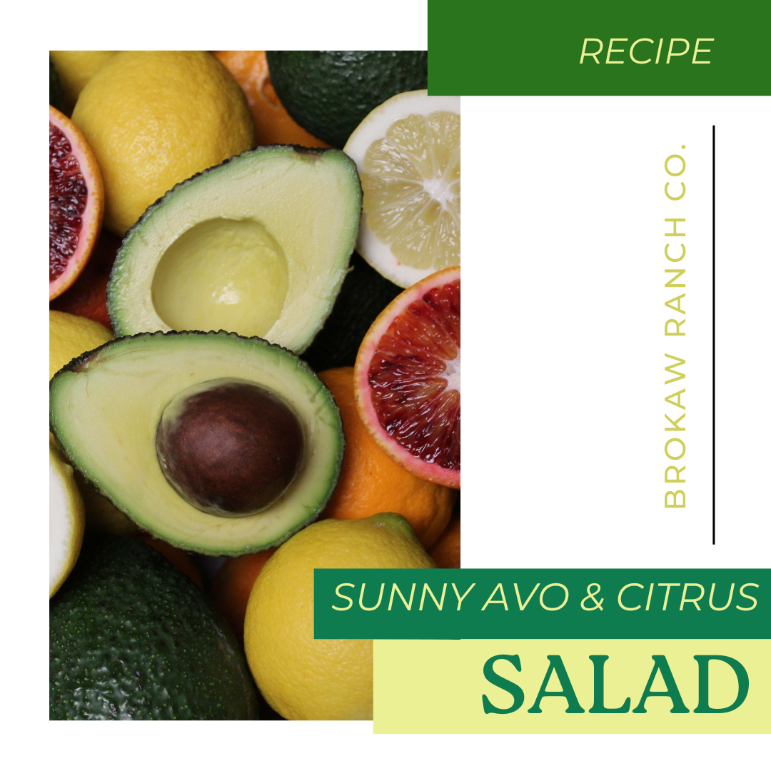 Sunny Avocado & Citrus Salad
