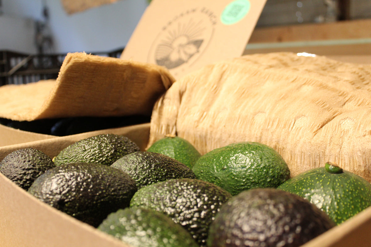 Shop Our Brokaw Boxes
