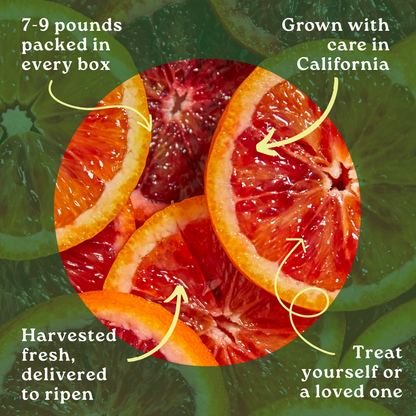 Blood Orange Box