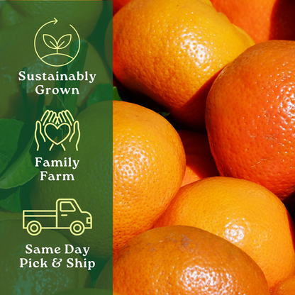Limited Edition Seedless Daisy Mandarin Box