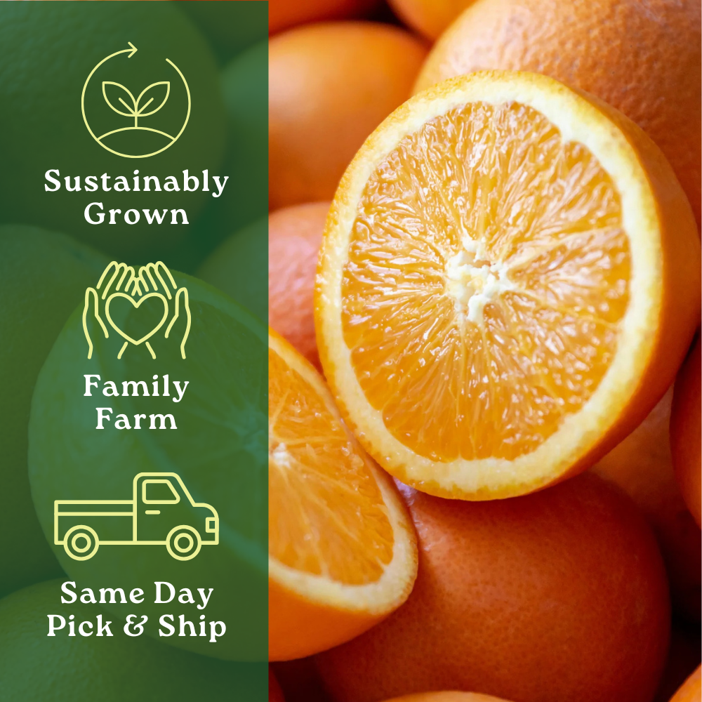 Valencia Orange Box