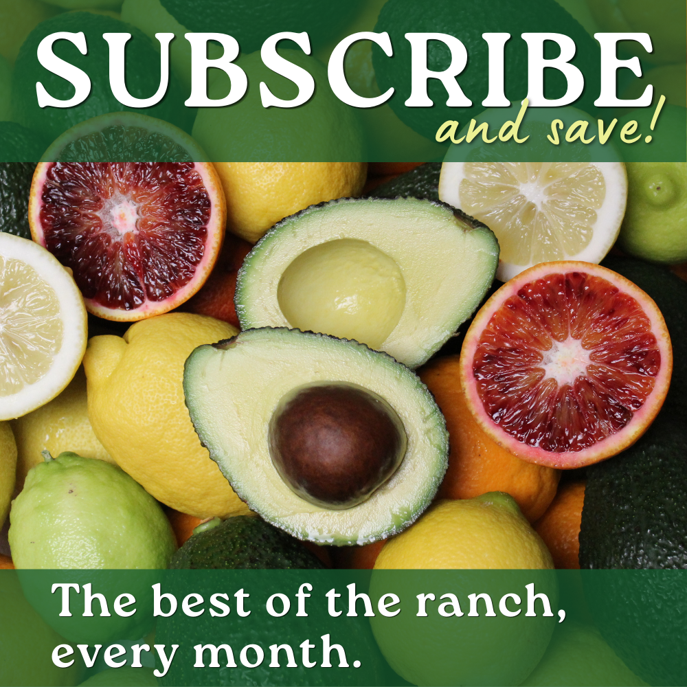 Subscription Box
