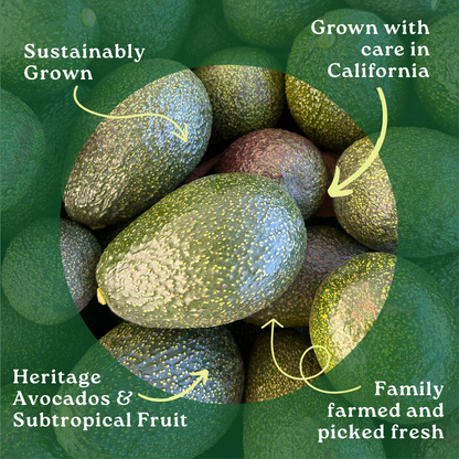 Gem Avocado Box