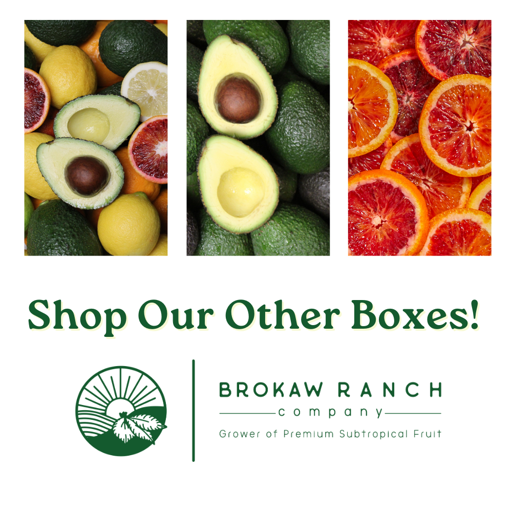 Gem Avocado Box