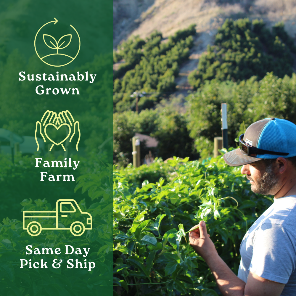 Reserve Your Passion Fruit Box [Exclusive Harvest]