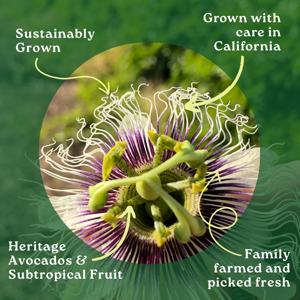 Reserve Your Passion Fruit Box [Exclusive Harvest]