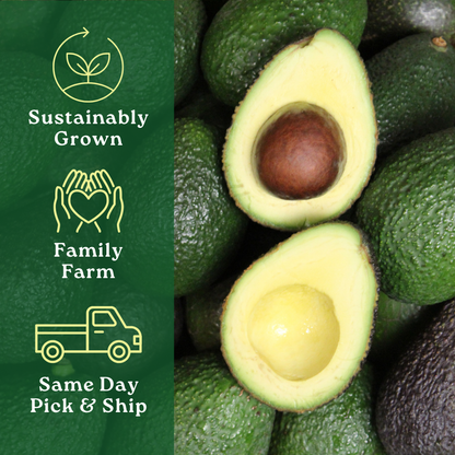 Avocado Box