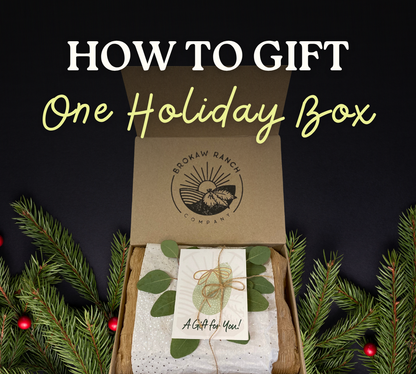 Holiday Box 🎁