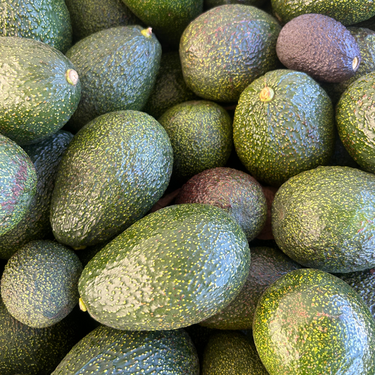 Gem Avocado Box