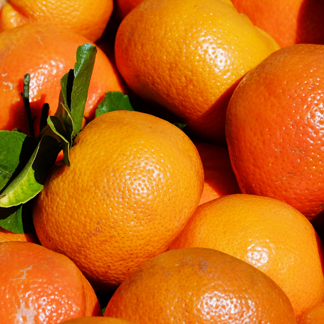 Limited Edition Daisy Mandarin Box